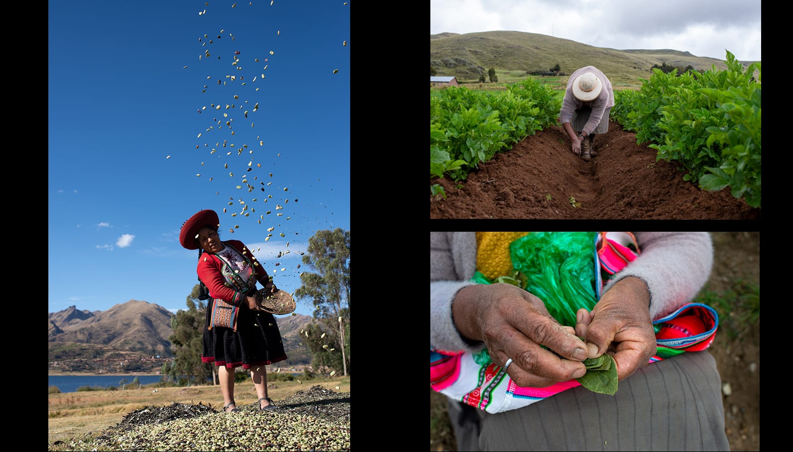 Desde el ombligo: lecciones ancestrales  para un mañana mejor
