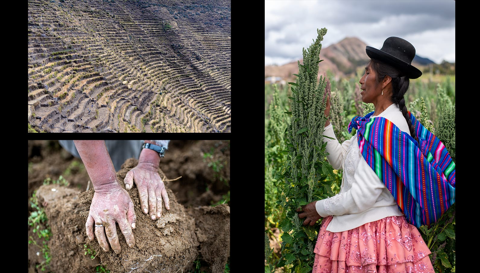 Desde el ombligo: lecciones ancestrales  para un mañana mejor