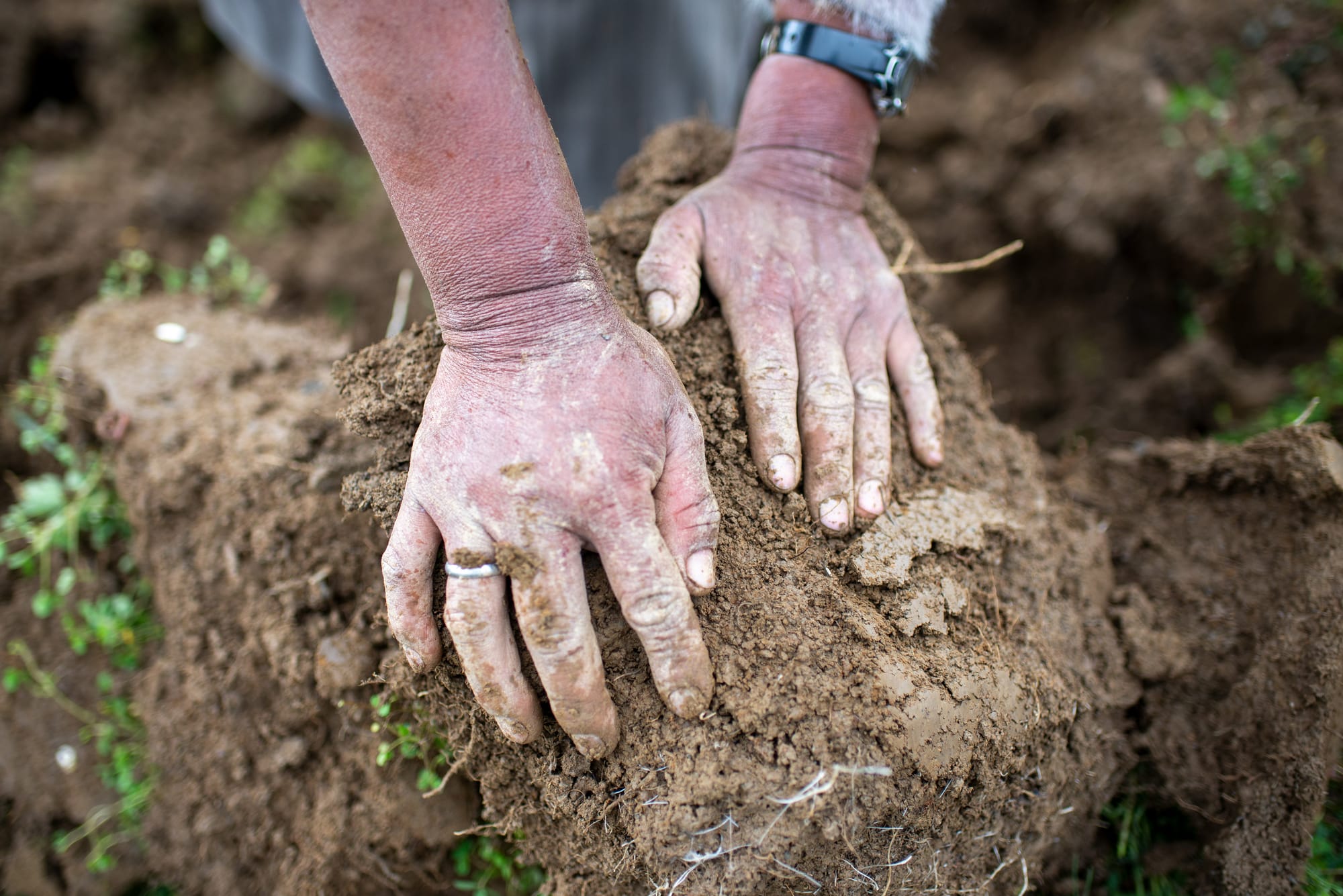 Desde el ombligo: lecciones ancestrales  para un mañana mejor
